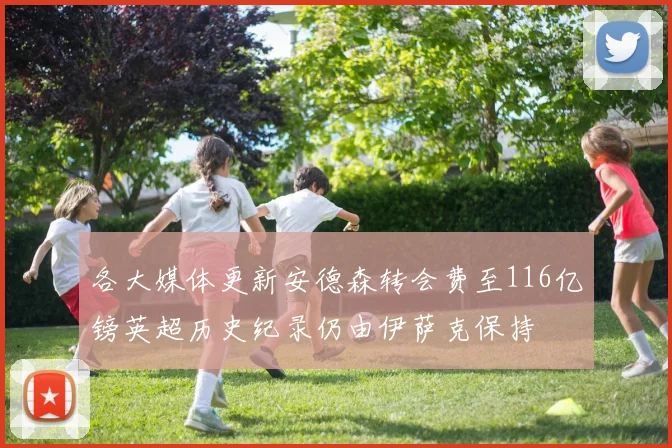 各大媒体更新安德森转会费至116亿镑英超历史纪录仍由伊萨克保持