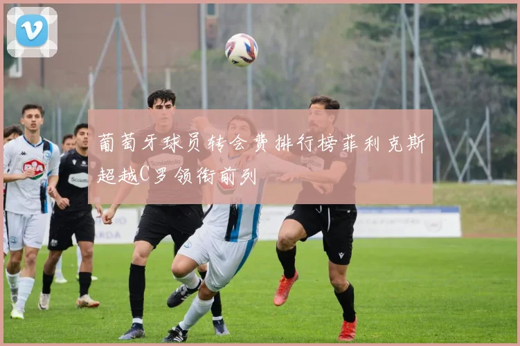 葡萄牙球员转会费排行榜菲利克斯超越C罗领衔前列